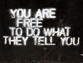 You Are Free